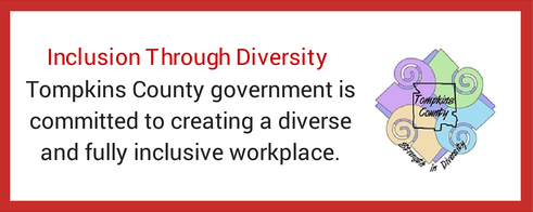 Inclusion through diversity logo